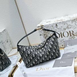 Picture of Dior Lady Handbags _SKUfw145513383fw